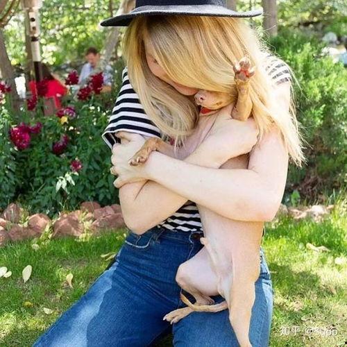 ins色情外国网红,网络世界的暗流涌动