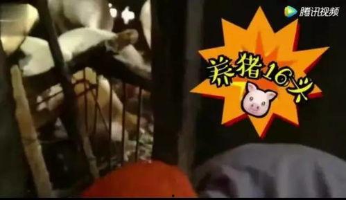 娱乐吃瓜酱变老特效,娱乐吃瓜酱变老特效，见证时光流转的魔力